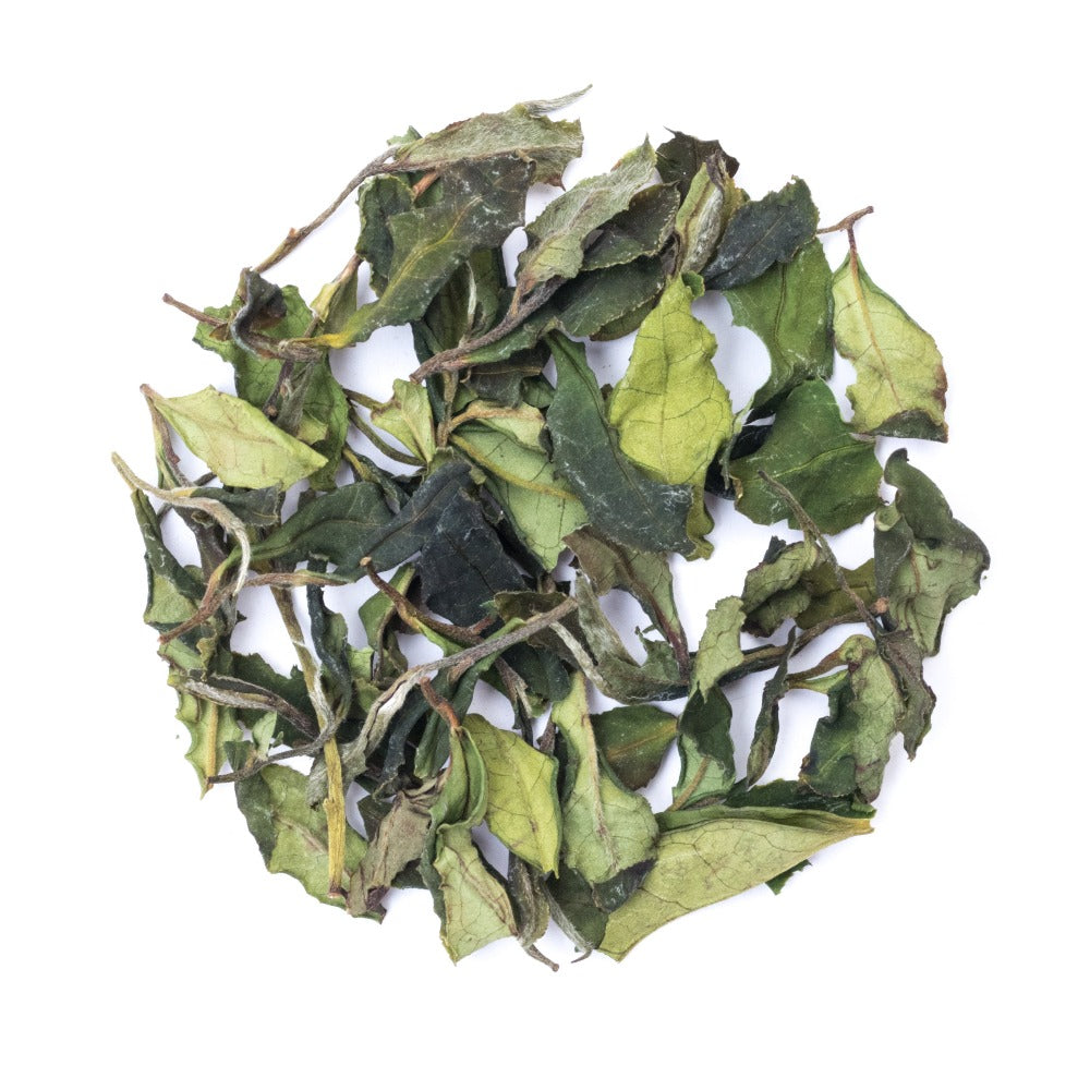 White Peony Tea
