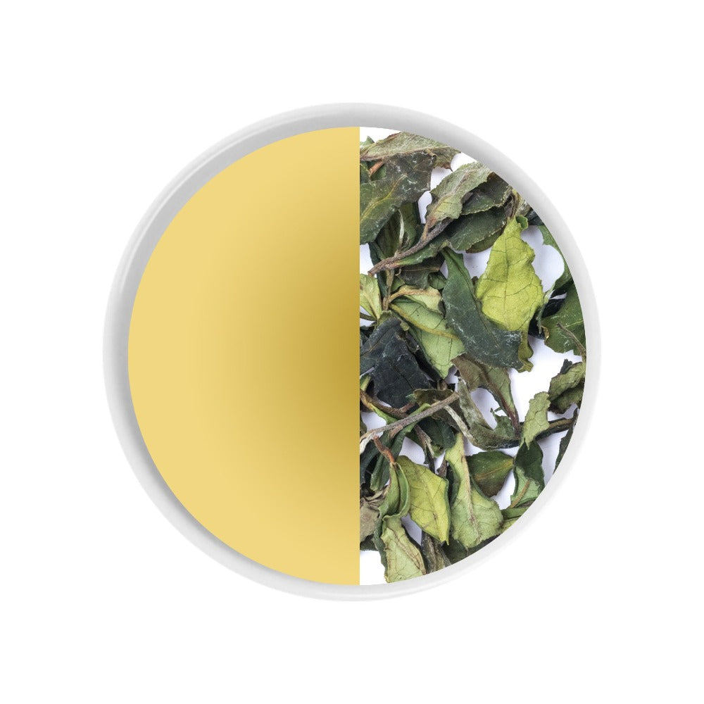 White Peony Tea